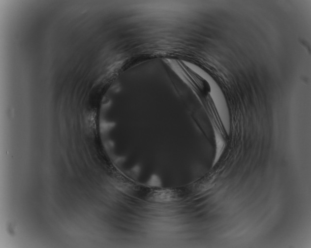 X0000091670127200709201227