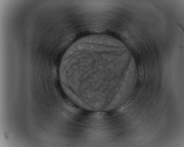 X0000091670128200709201227