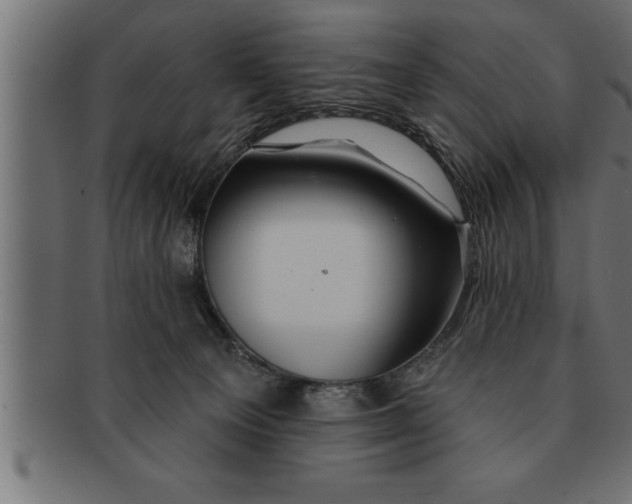 X0000091670129200709201227