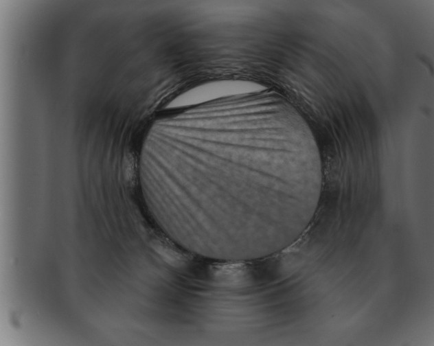 X0000091670132200709201227