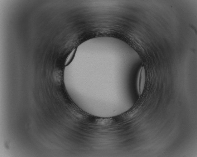 X0000091670135200709201227