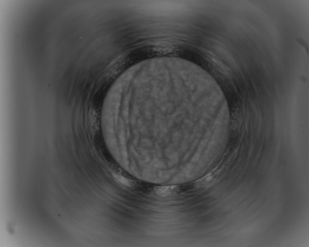 X0000091670136200709201227