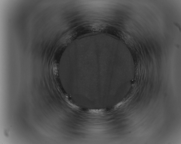 X0000091670137200709201227