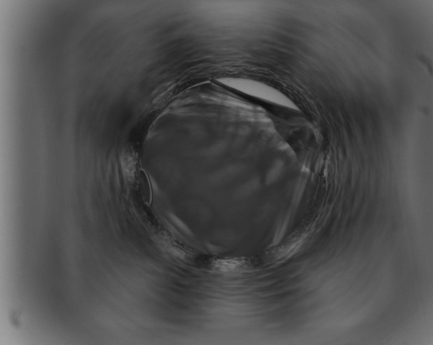 X0000091670139200709201227