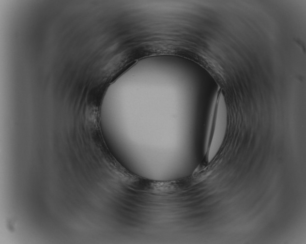 X0000091670141200709201226