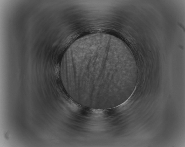 X0000091670144200709201226