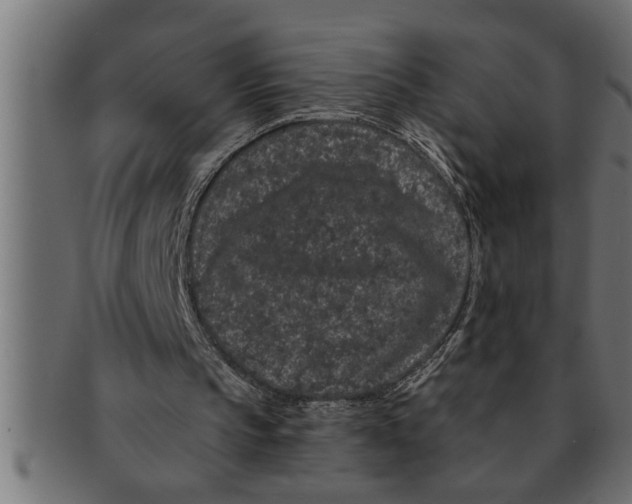 X0000091670145200709201226