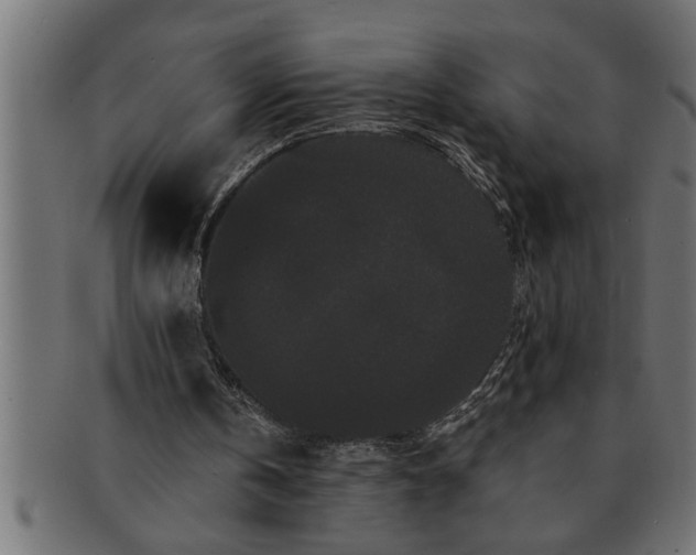 X0000091670146200709201226