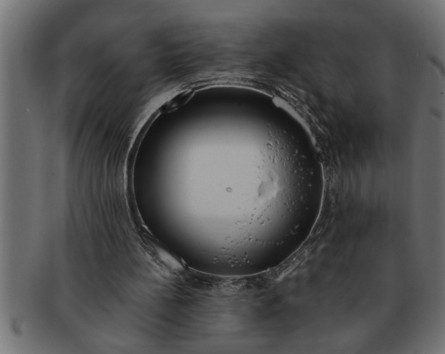 X0000091670148200709201226