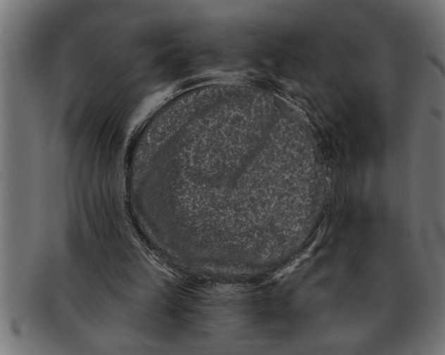 X0000091670149200709201226