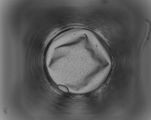 X0000091670151200709201226