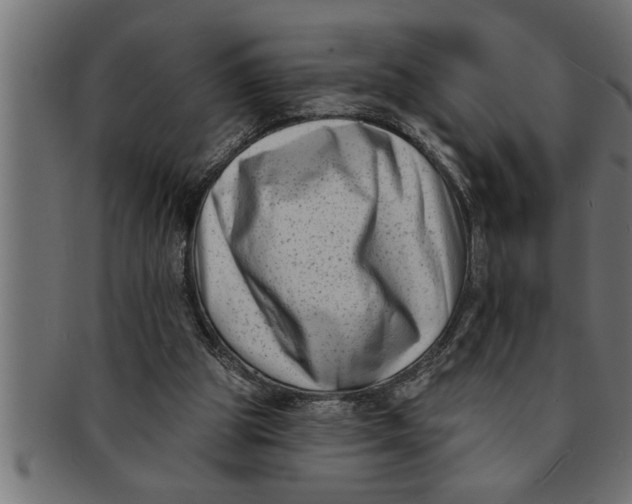 X0000091670153200709201226