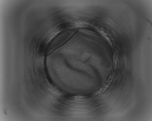 X0000091670154200709201226