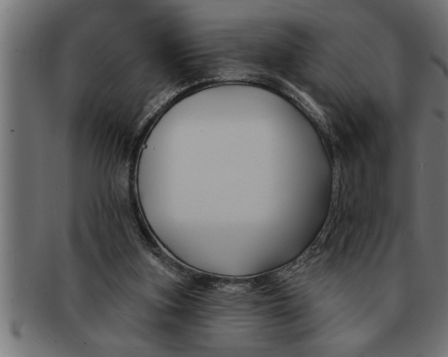 X0000091670155200709201226