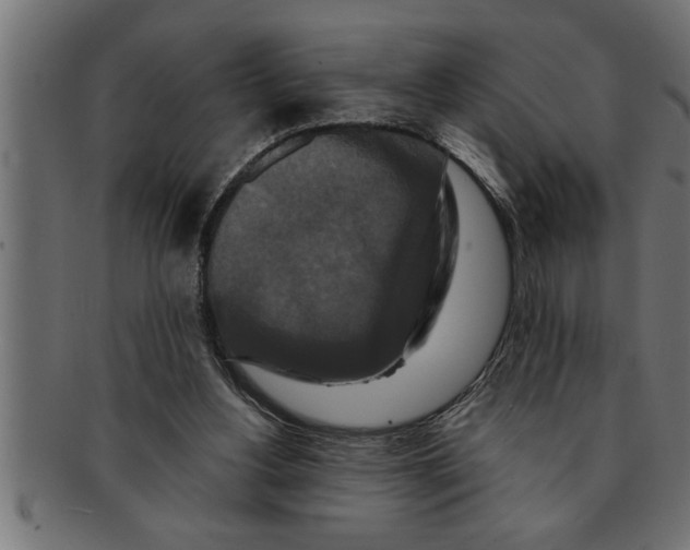 X0000091670156200709201226