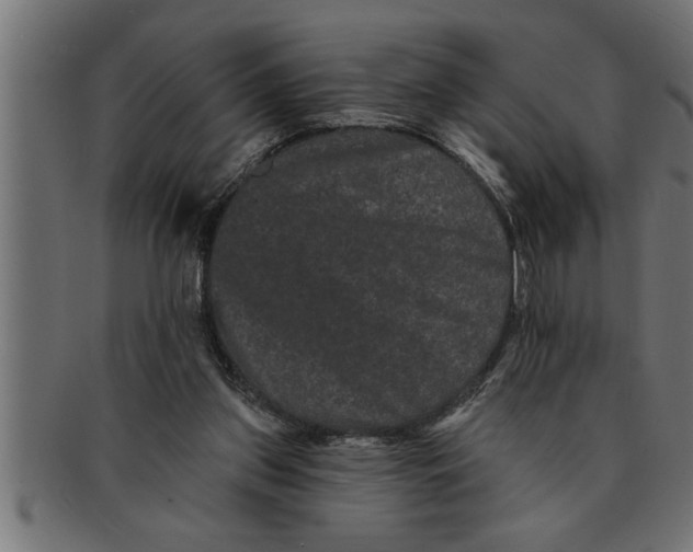 X0000091670157200709201226