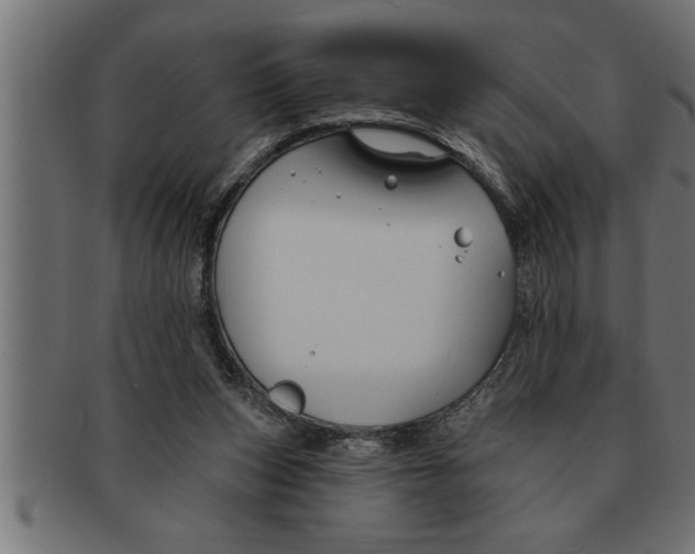 X0000091670159200709201226