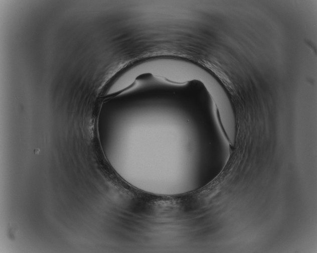 X0000091670160200709201226