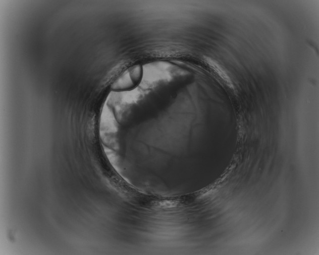 X0000091670163200709201226