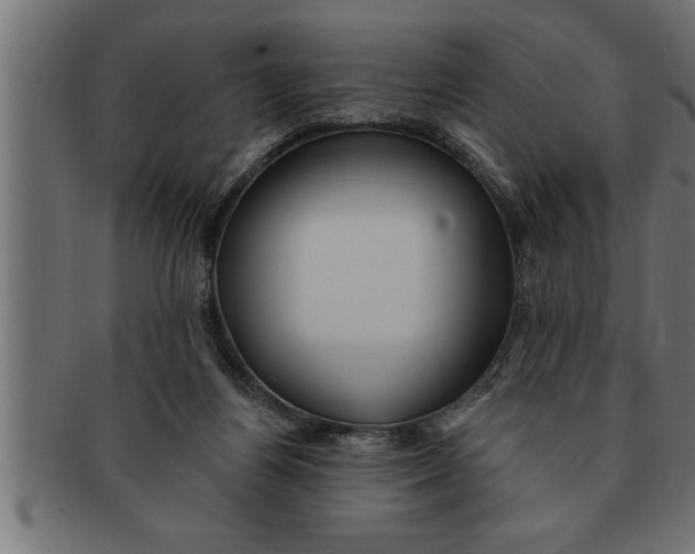 X0000091670164200709201226