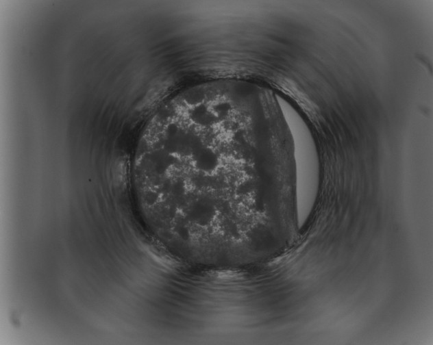 X0000091670165200709201226