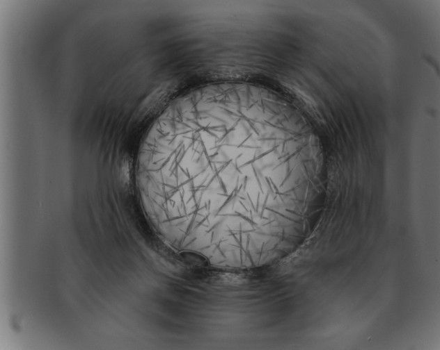 X0000091670166200709201226