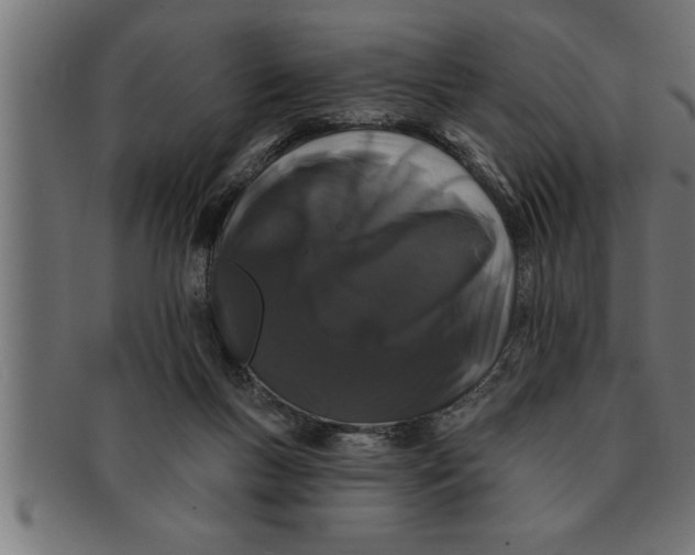 X0000091670167200709201226