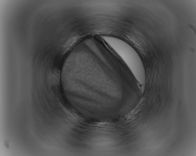 X0000091670168200709201226