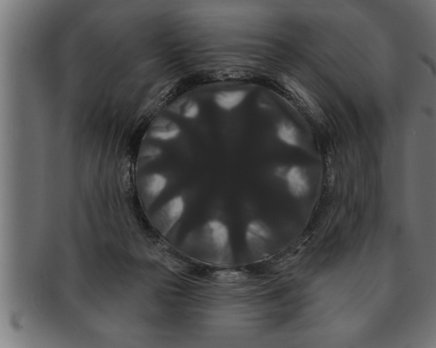 X0000091670169200709201226