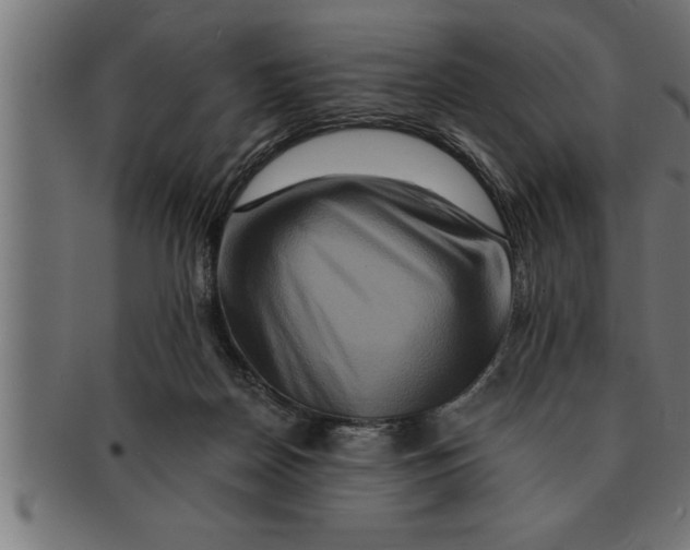 X0000091670170200709201226