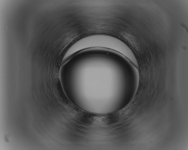 X0000091670172200709201226