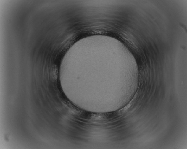 X0000091670174200709201226