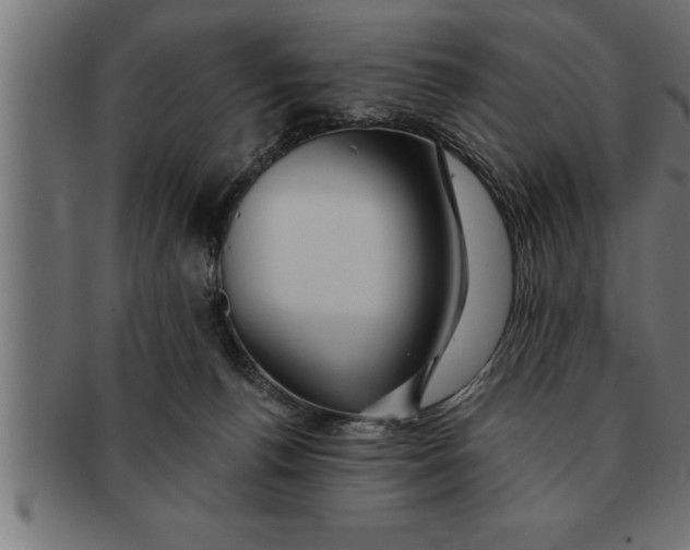 X0000091670176200709201226