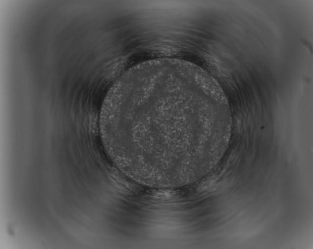 X0000091670177200709201226