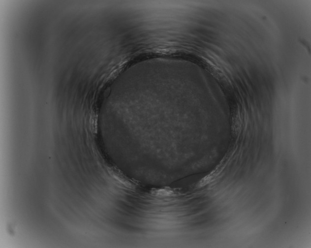 X0000091670180200709201226