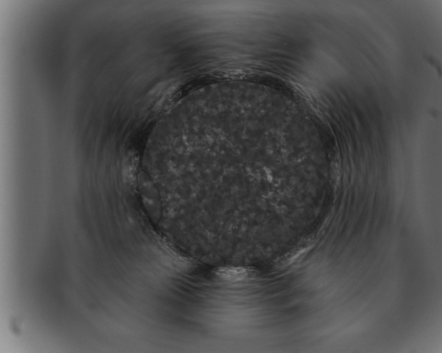 X0000091670181200709201226