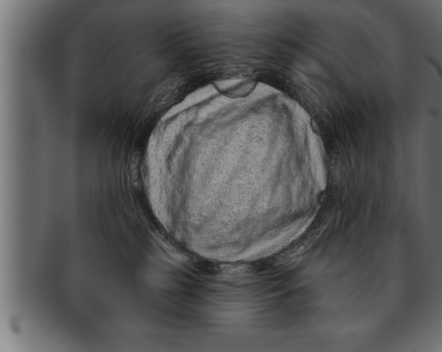 X0000091670185200709201226