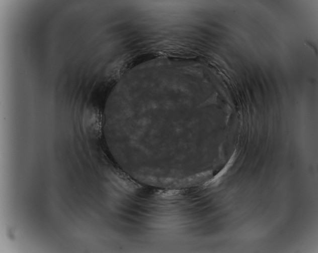 X0000091670186200709201226