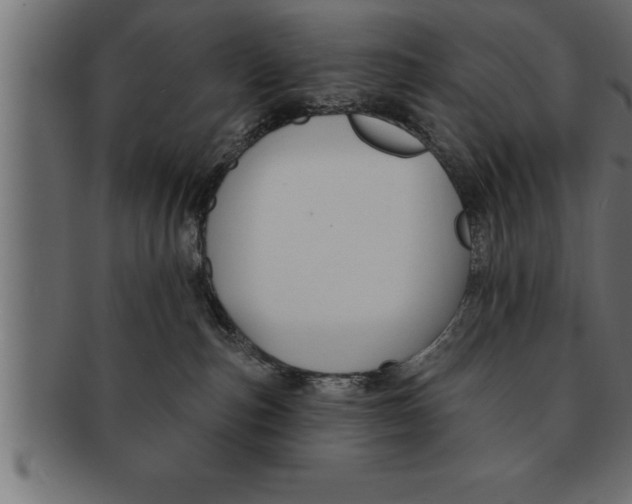 X0000091670187200709201226