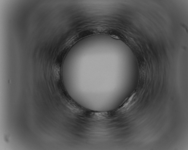 X0000091670188200709201226