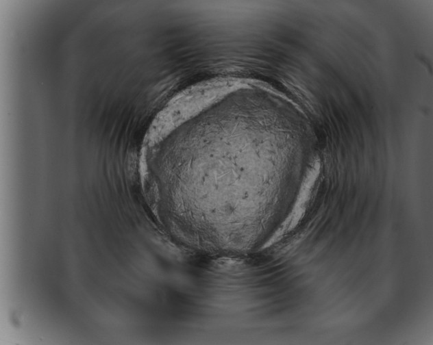 X0000091670189200709201226