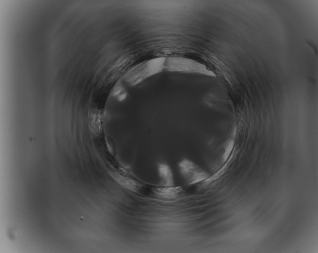 X0000091670191200709201226