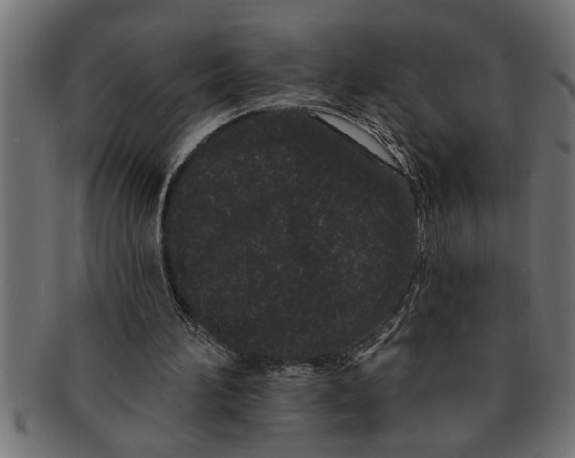 X0000091670196200709201226