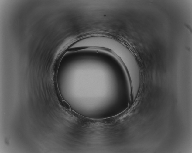 X0000091670197200709201226