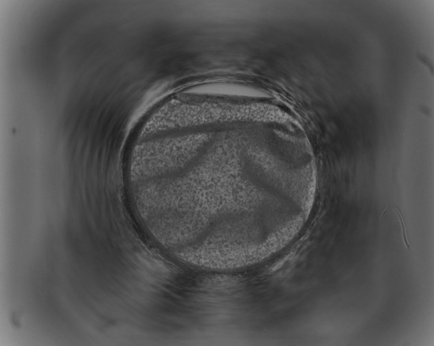 X0000091670198200709201226