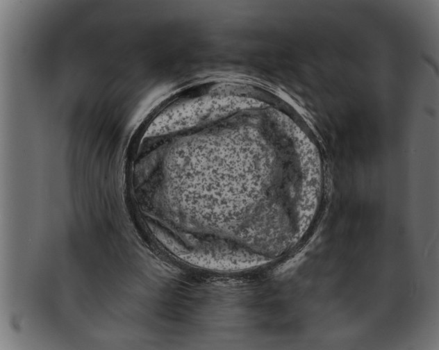 X0000091670199200709201226