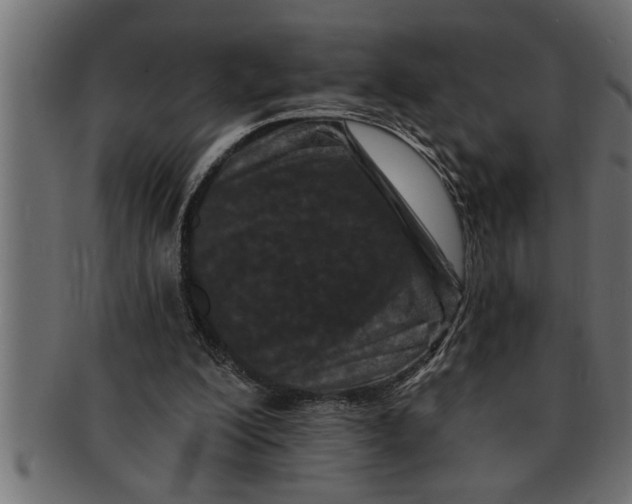 X0000091670200200709201226