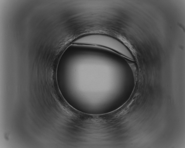 X0000091670201200709201226