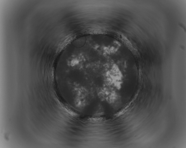 X0000091670202200709201226