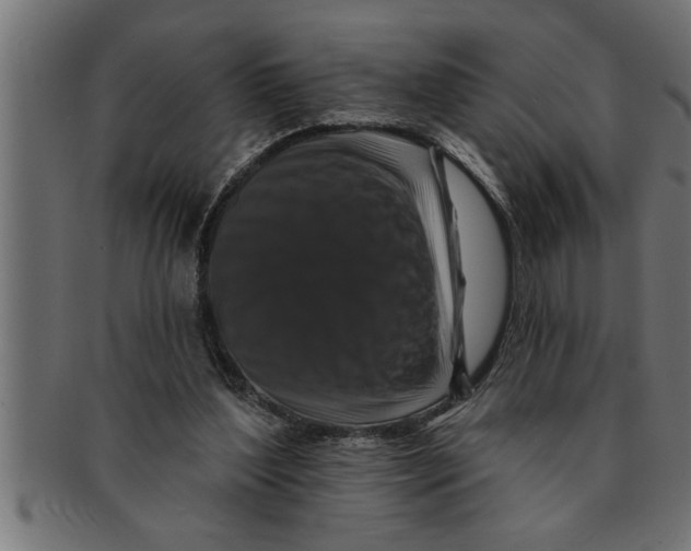 X0000091670204200709201226